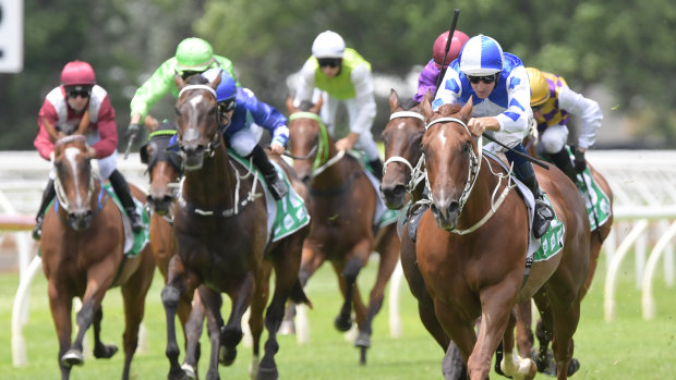 There are seven races on the cards at Warwick Farm today.