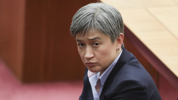 Penny Wong in the Senate late last year.