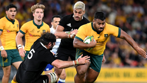 The Wallabies beat the All Blacks in Brisbane in November 2020, and play the Kiwis twice across the Tasman in 2021.