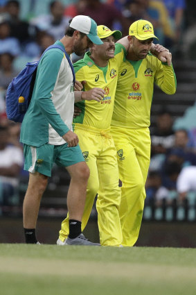 David Warner is helped from the field by David Beakley and Glenn Maxwell during the second ODI in November.