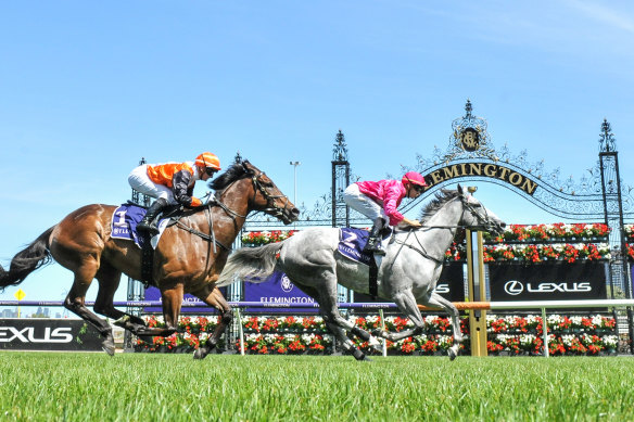 A small number has already been allowed back at the track but the VRC hopes for much larger numbers on New Year's Day.