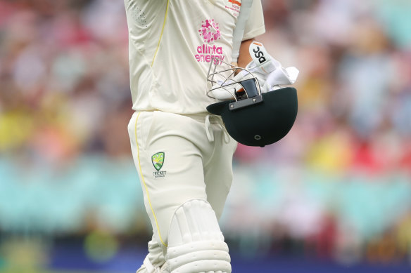 Hotter summers will be particularly harsh for cricketers who spend many hours and days out in the sun. 