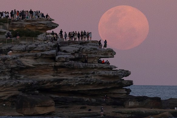 Crowds gather at North Bondi’s Ben Buckler Point to watch the Beaver supermoon rise on Wednesday night. 