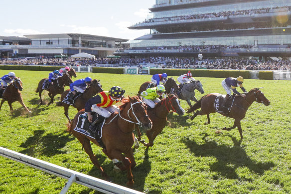 Racing NSW, of which ARLC chairman Peter V’landys is CEO, is yet to announce a vaccine policy.