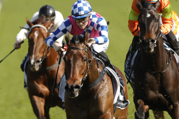 Man of Peace takes a great Randwick record into The Kosciuszko.