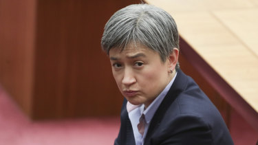 Penny Wong in the Senate late last year.