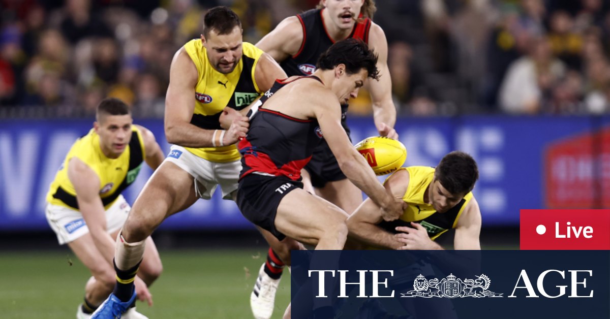 AFL 2022 round 23 LIVE updates: Hurley celebrated but Tigers lead Bombers; ‘We are ready’: Cats ready for finals; Dockers keep top-four hopes; Suns thrash Roos - The Age