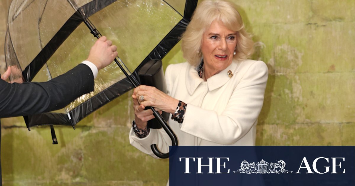 Queen Camilla speaks for the first time on King Charles III's cancer diagnosis - Vimarsana News