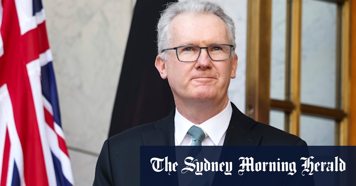 Divisive debate has no place in Australia, Tony Burke says