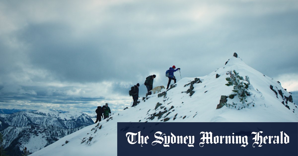 Torn documentary: A family on rebuilding life after the death of mountaineer Alex Lowe - Vimarsana News