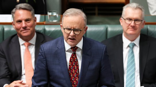Prime Minister Anthony Albanese during question time today.