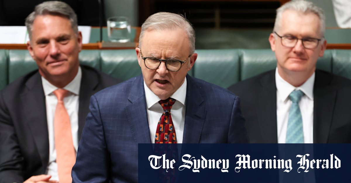 Albanese says ‘good people’ attended rallies exploited by neo-Nazis