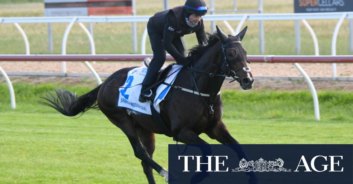 La misión española es apropiada y las pruebas veterinarias están pendientes, dice Tony Noonan