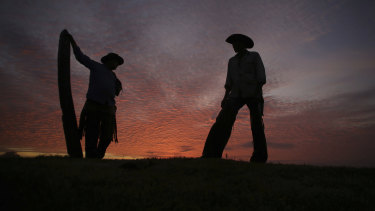 Cowboys talk at dawn in Corumba, in the Pantanal wetlands of Brazil. As of November 6, fires have ripped through the biodiverse region, consuming 15,000 football fields of vegetation in just 10 days, burning some animals alive.