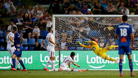 Pick that out: Jets striker Roy O'Donovan, left,  wheels away as his rasping shot hits the back of Vedran Janjetovic's net.