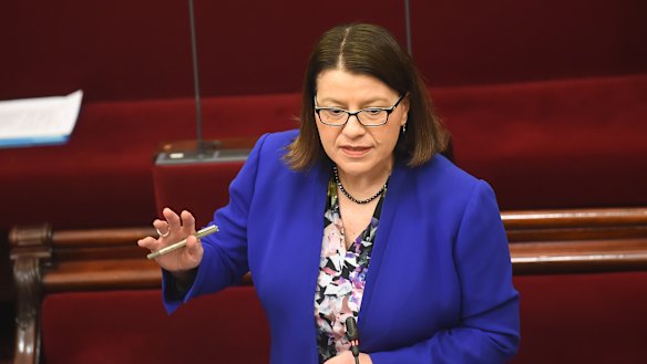 Former Health Minister Jenny Mikakos