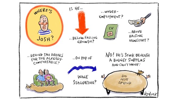 Illustration: Cathy Wilcox