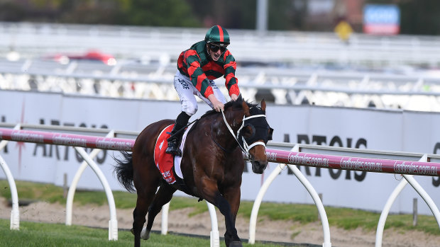 What next: The Autumn Sun waltzes away with the Caulfield Guineas on Saturday 