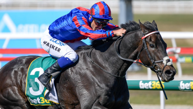 The British Prince of Arran finished second in the Melbourne Cup. His Aussie namesake runs in Lismore on Monday.