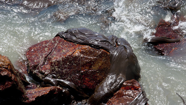 Oil sludge covers a rock at the Coroa do Meio beach, in Sergipe, state, Brazil. 