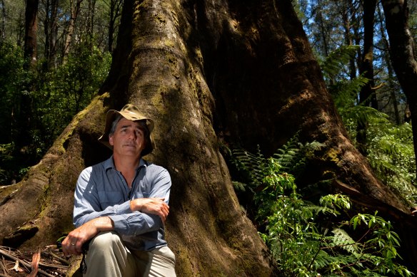 Scientist David Lindenmayer in Healesville.