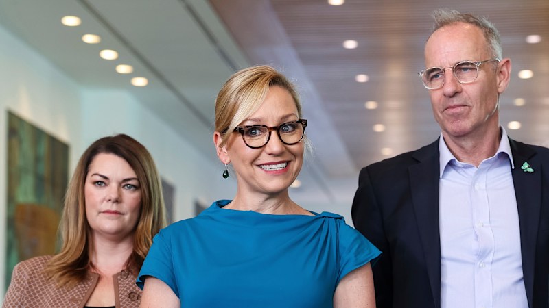 Greens demand cut to SMSF borrowing ‘loophole' for budget support