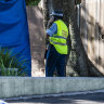 Boy, 3, killed after being hit by car near Glebe childcare centre