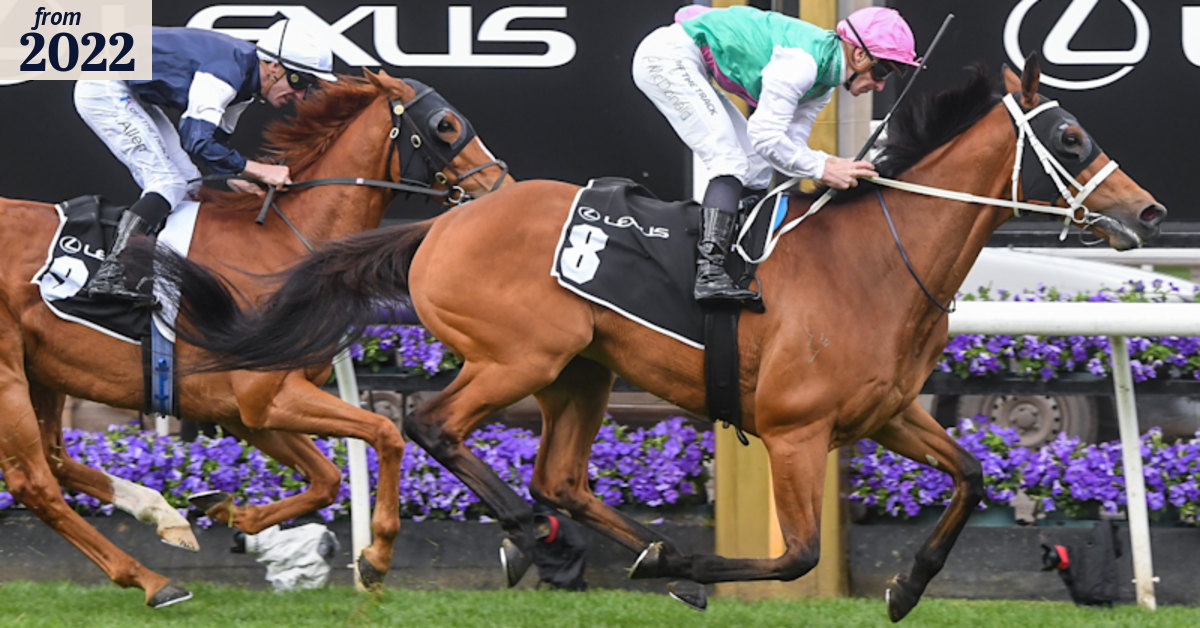 Melbourne Cup 2022: Serpentine into Melbourne Cup for Team Williams