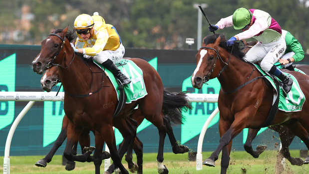 Lady of Camelot wins the Golden Slipper on Saturday.