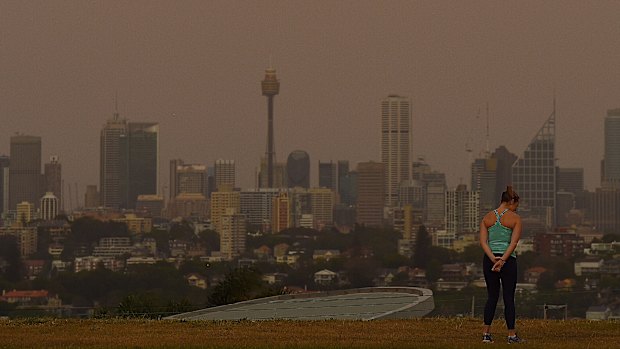 Dust fills the air as a woman stands at Dudley Page Reserve in Dover Heights, Sydney.