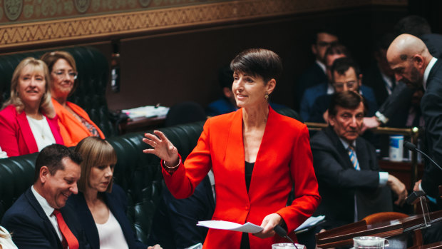 Minister for Family and Communities Kate Washington in parliament