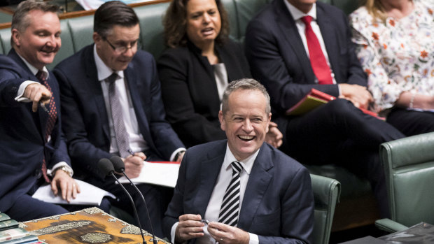 Labor leader Bill Shorten in Question Time on Tuesday.