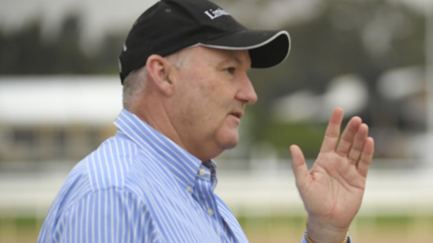 The David Hayes-led stable has some promising runners lining up in Wagga on Monday.