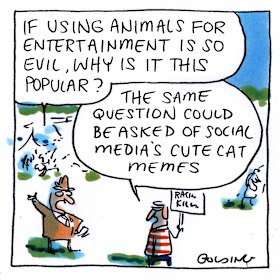 Illustration: Matt Golding 