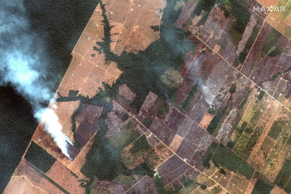 A satellite photo of the upper Amazon River basin burning on August 15. Cleared pastoral land is clearly visible in various degrees of deforestation compared with the forest (left of screen).