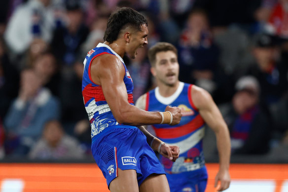 Western Bulldogs - Figure 3