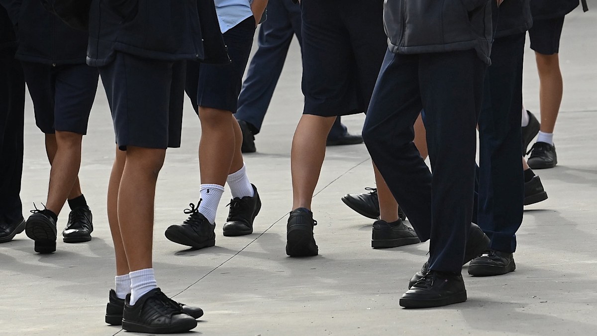 Schools must fight to save boys from ‘manosphere’, ex-principal says