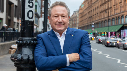 ‘Twiggy’ Forrest preaches his green energy dream at an AGM like no other