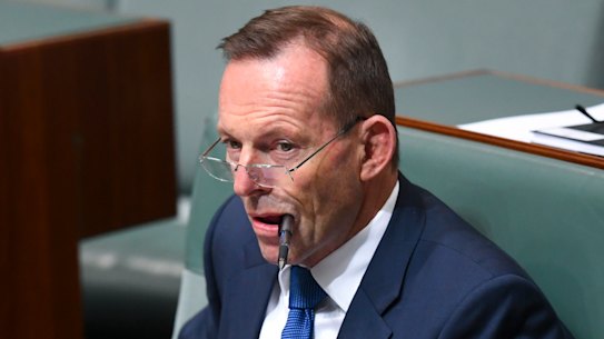 Tony Abbott set for the long-term as he cements his hold on seat