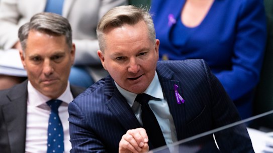 Climate Change and Energy Minister Chris Bowen has ruled out a blanket ban on new fossil fuel projects.