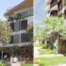Renders of the Station Quarter development proposed for Alderley in Brisbane.