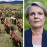 Pocock urges Plibersek to tackle brumbies in high country