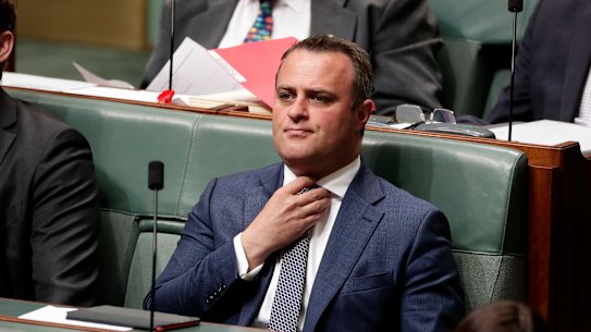 Victorian Liberal MP Tim Wilson. 