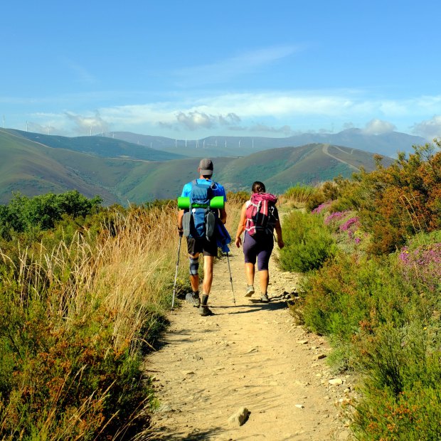 Nearly 7000 Australians walked the Camino Frances last year, up more than double from the year before, making us 11th in the list of global Camino completers.