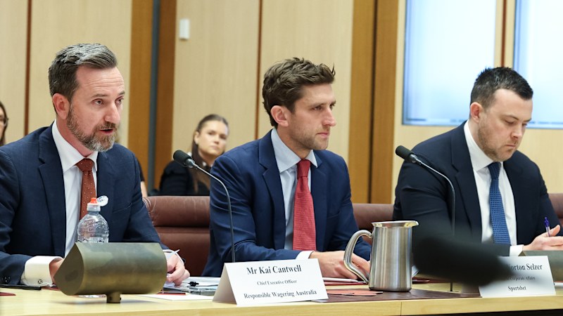 ‘On thin ice': Betting lobbyists squirm under Senate grilling
