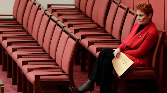 Pauline Hanson in the Senate earlier this year.