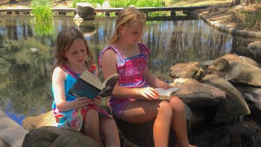 John Knight park is a cool place to read a book on a hot summer’s day.