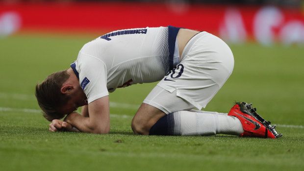 Harry Kane looks to have suffered a serious injury.