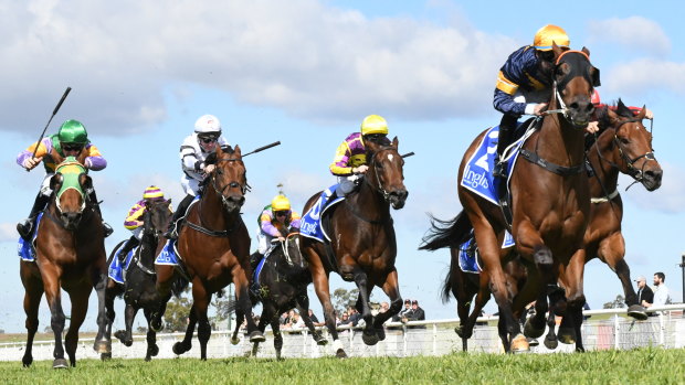 Seven races are set down for Scone on Monday.