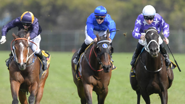 Late bloomer: Tommy Berry brings Noire down the outside to win the Shannon Stakes.